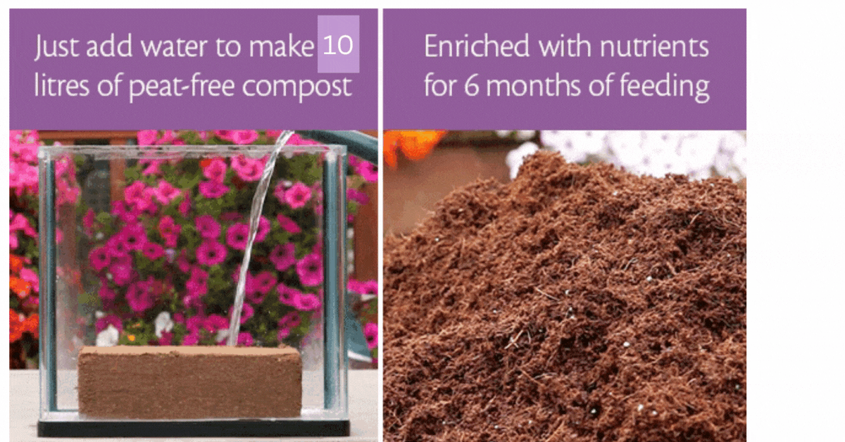 Eazy Grow Compost 10 litres - FREE Just Pay P&P! (Delivery in January 2026)