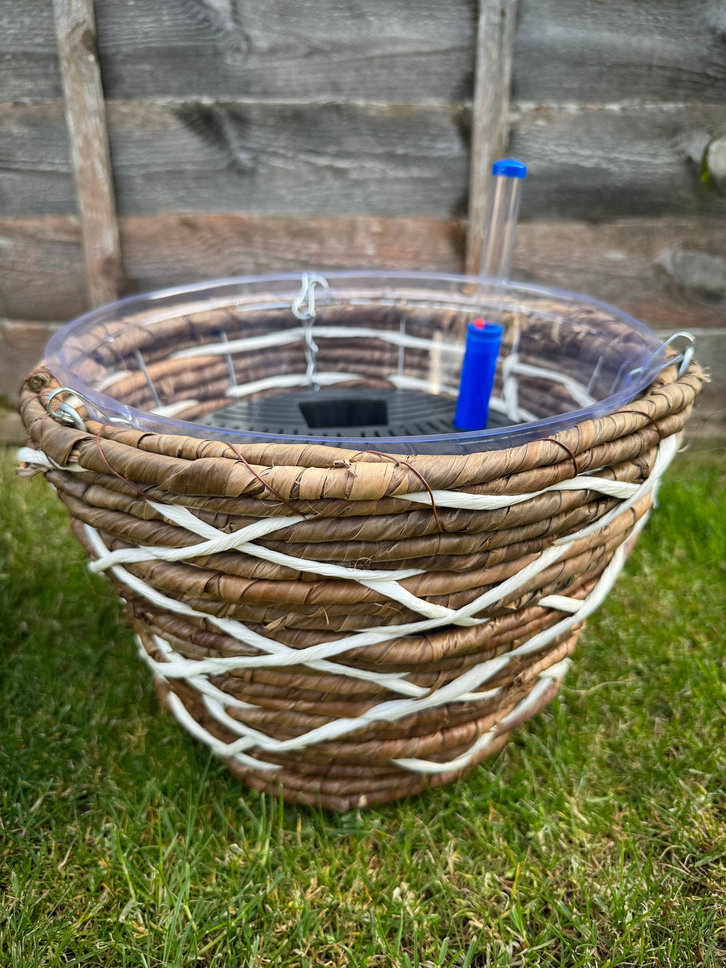 Self-watering Hanging Basket (Exclusive to SPS)