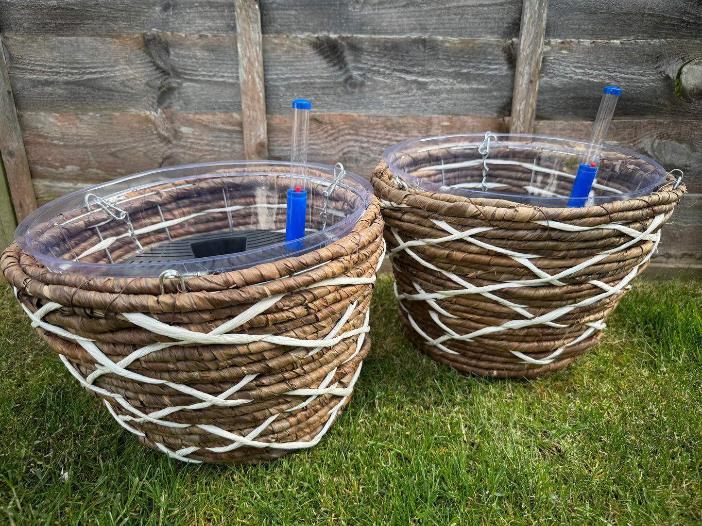 Self-watering Hanging Basket (Exclusive to SPS)