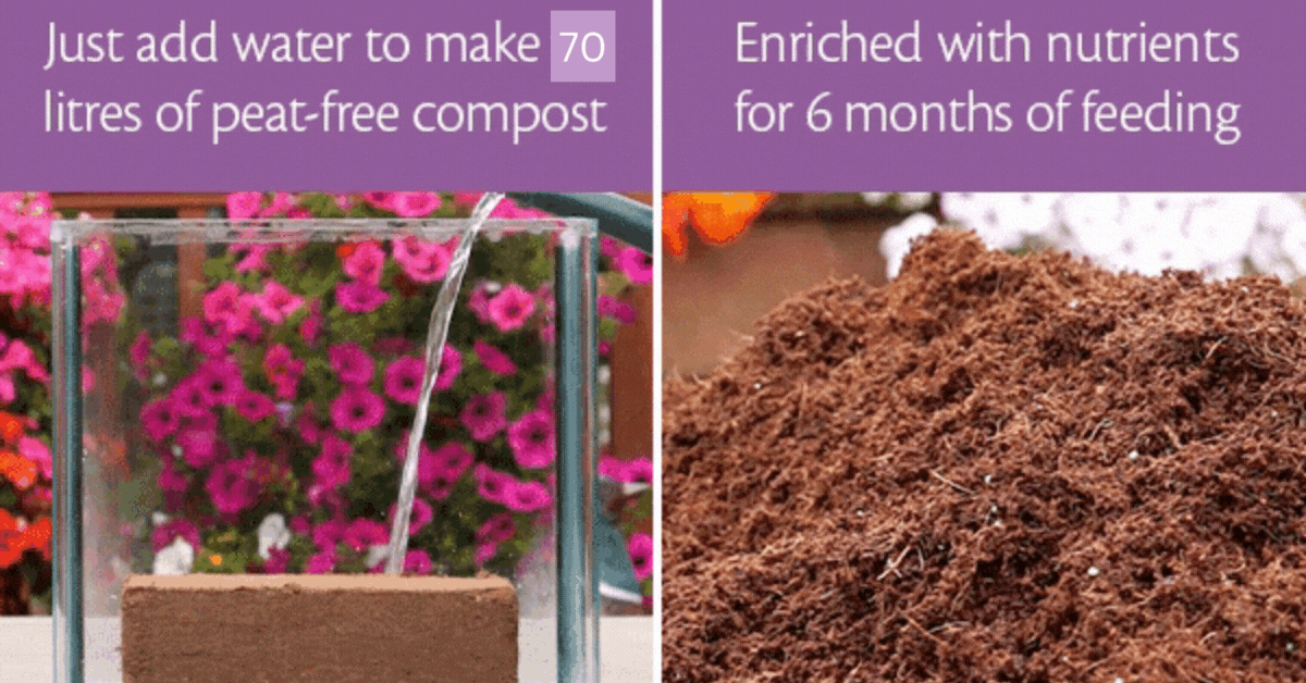 Eazy Grow Compost 70 litres - 100% Peat-Free, Multi-Award Winning (Pre-order for delivery in January 2026)
