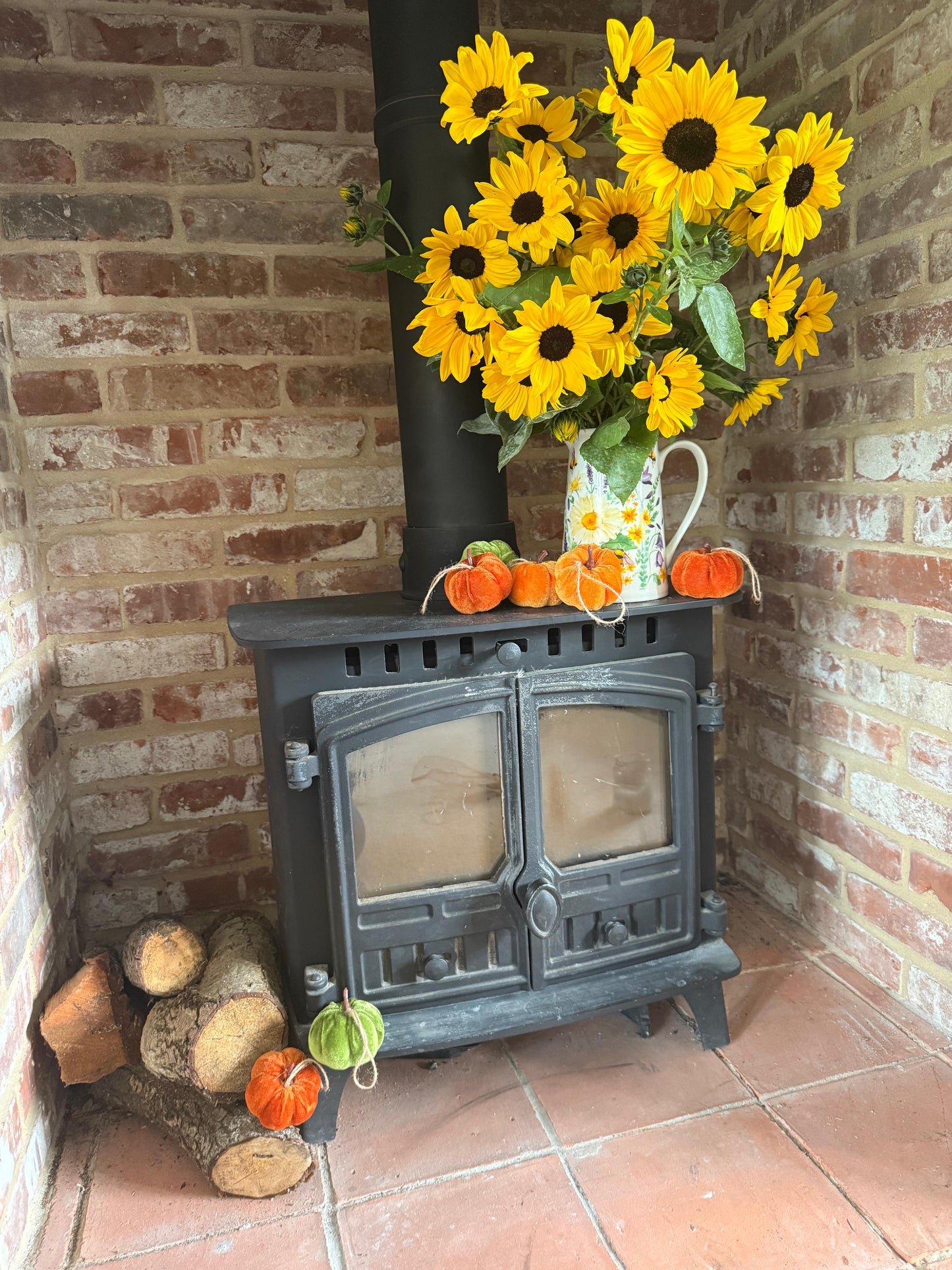 Helianthus Everbloom: The Full Summer Sunflower - New & Exclusive! (Pre-order for delivery in spring 2026)