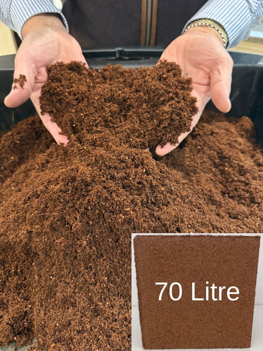 Eazy Grow Compost 70 litres - 100% Peat-Free, Multi-Award Winning (Pre-order for delivery in January 2026)